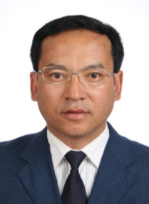 桂正华